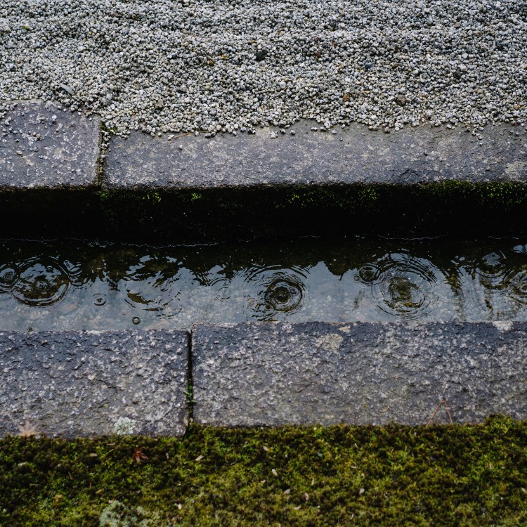 Renovation and Remodeling in Springfield, MO